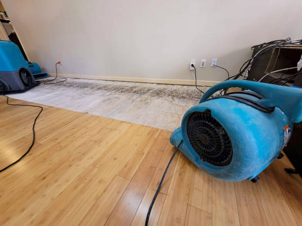 Professional Basement Flood Cleanup technician working in Lenox, TN